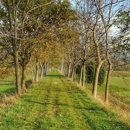 Via Nazionale - 4 Daire